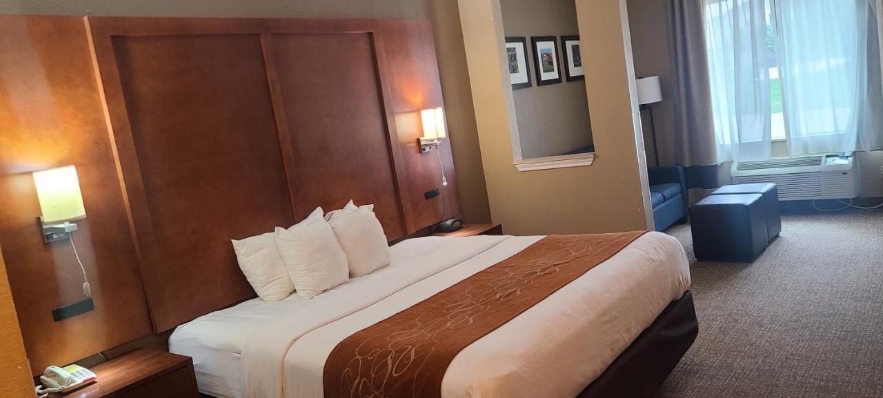 Comfort Suites New Braunfels Extérieur photo