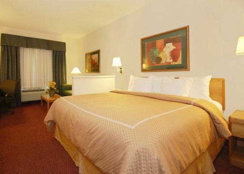Comfort Suites New Braunfels Chambre photo