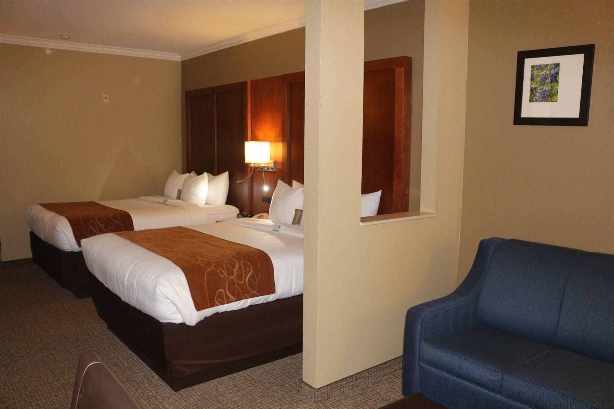 Comfort Suites New Braunfels Extérieur photo